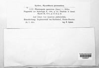 Phomopsis quercina image